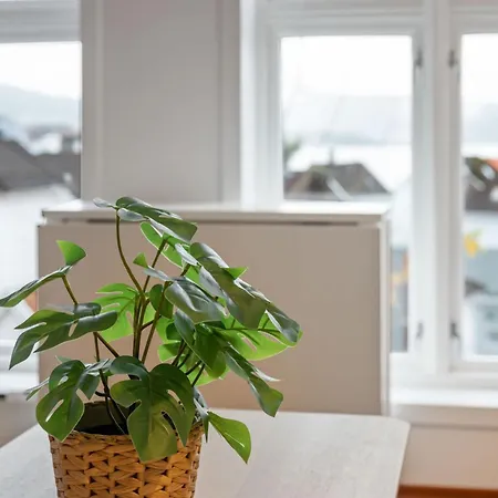 Apartament New Sandviken With Stunning View *